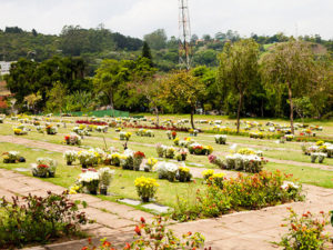 Cemiterio Parque dos Ipes
