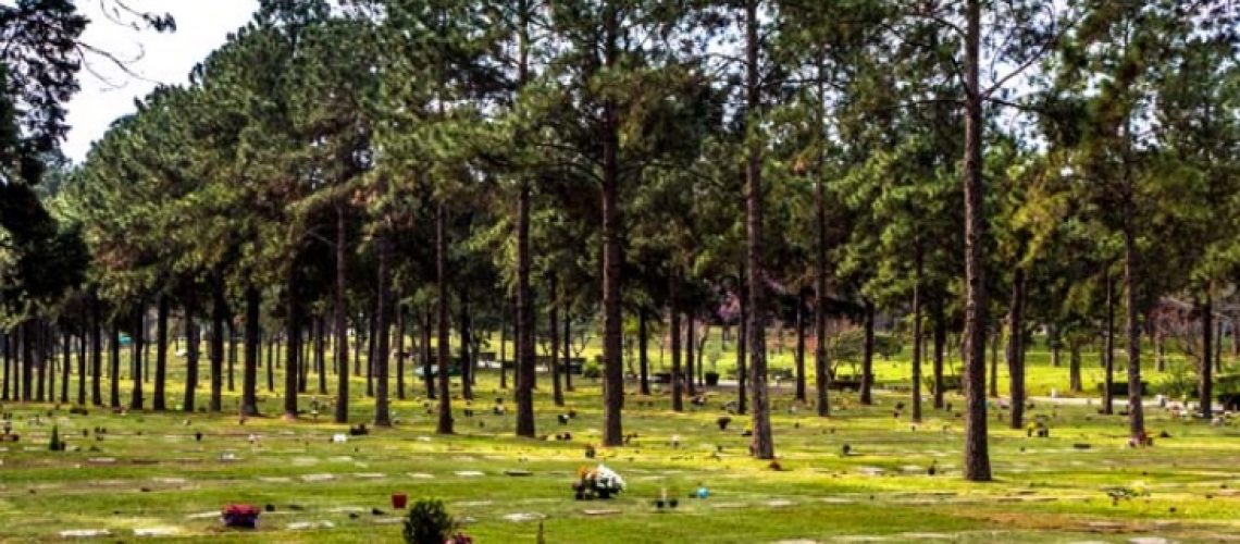 Coroa de Flores Cemitério Jardim da Colina em São Bernardo do Campo.